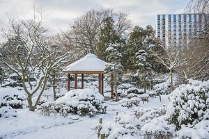 Japanischer Garten unter dicker Schneeschicht